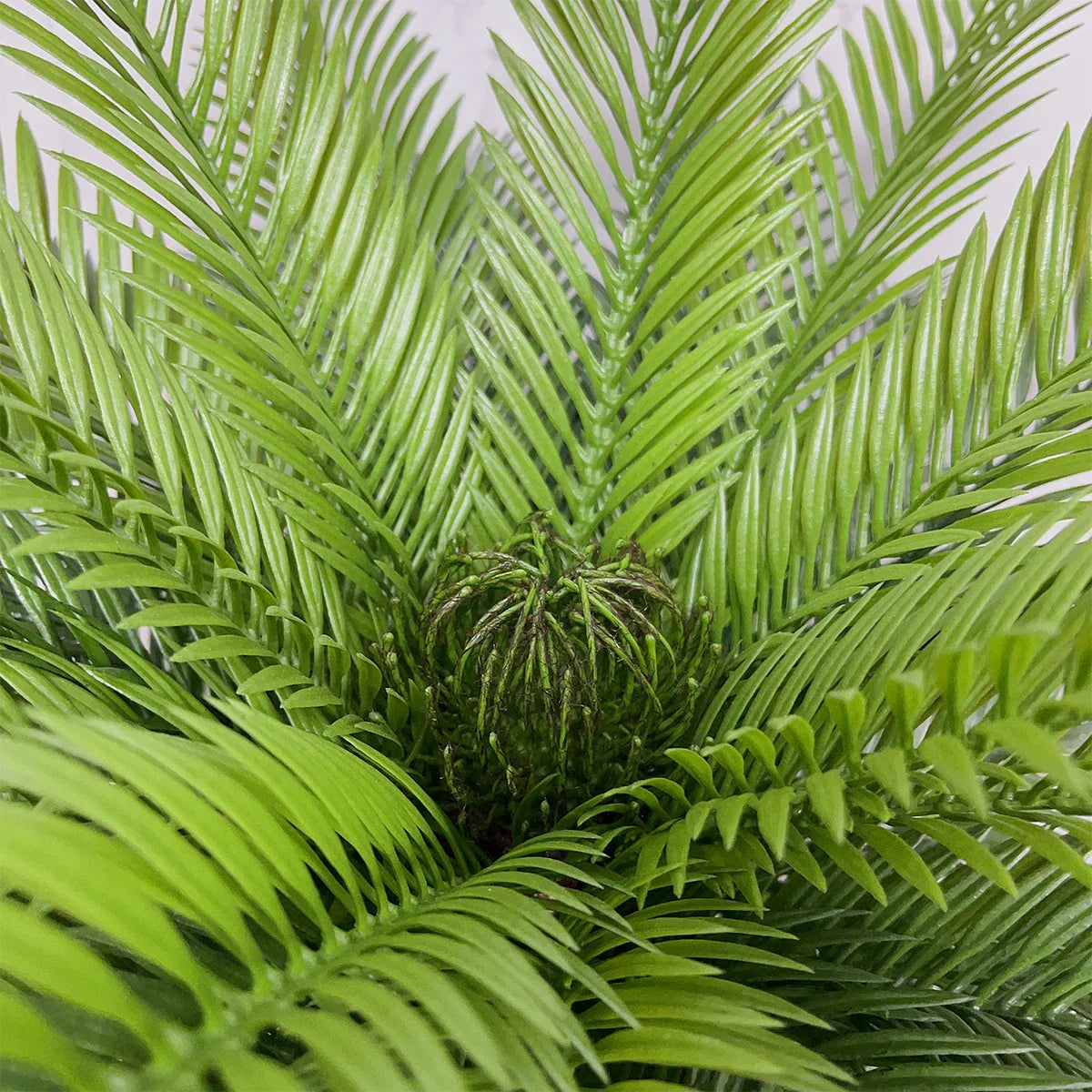 Coconut Palm Artificial Plant With Black Plastic Pot